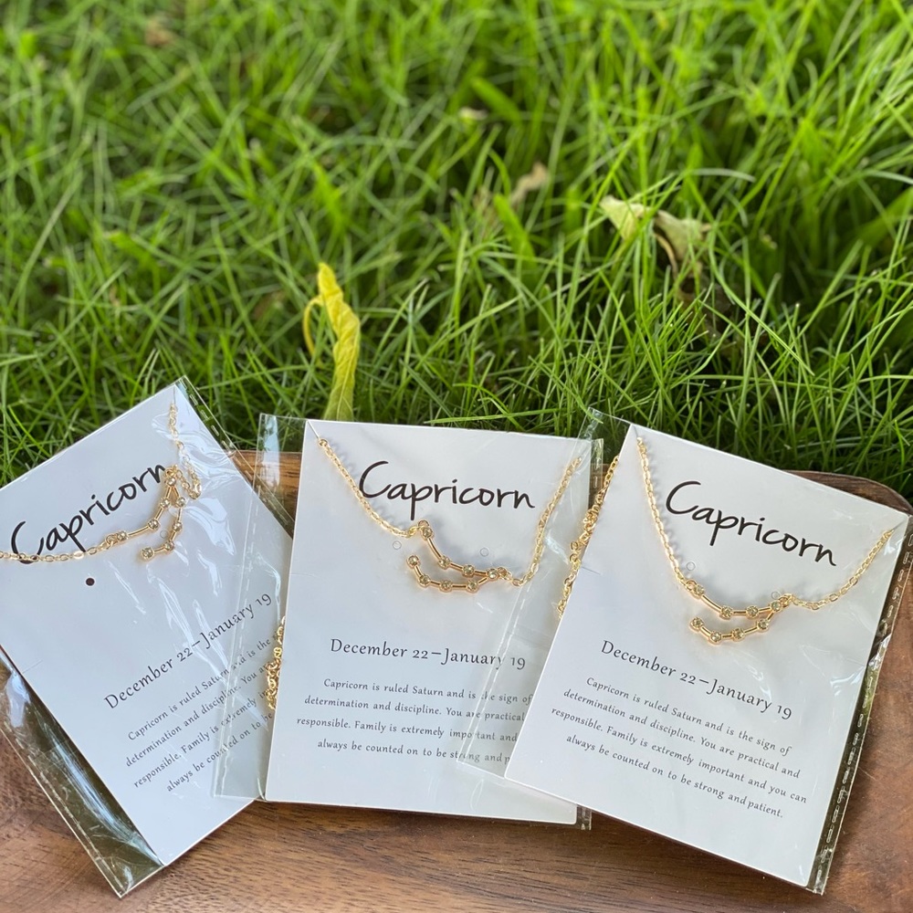 Astrology necklace Capricorn